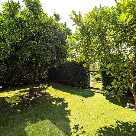 Paradis * البوفيرا