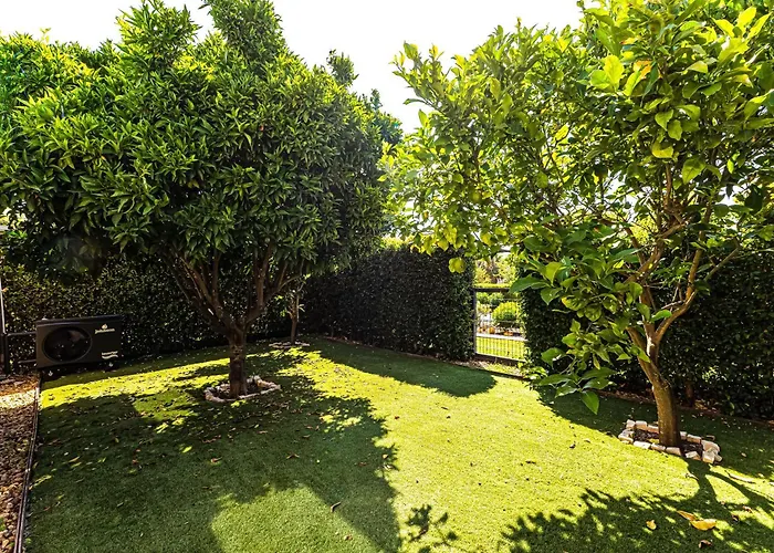 Paradis * 알부페이라